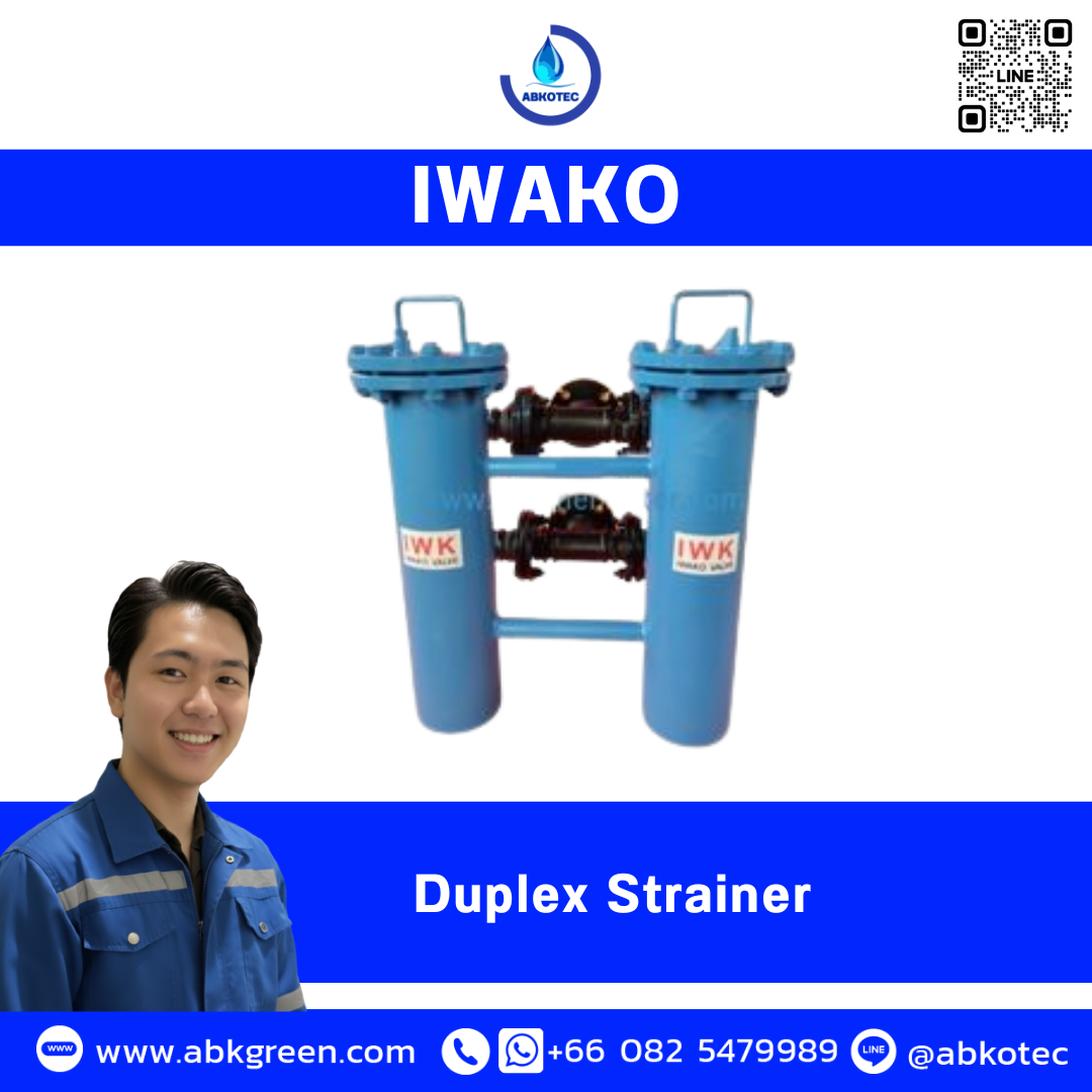 Duplex Strainer