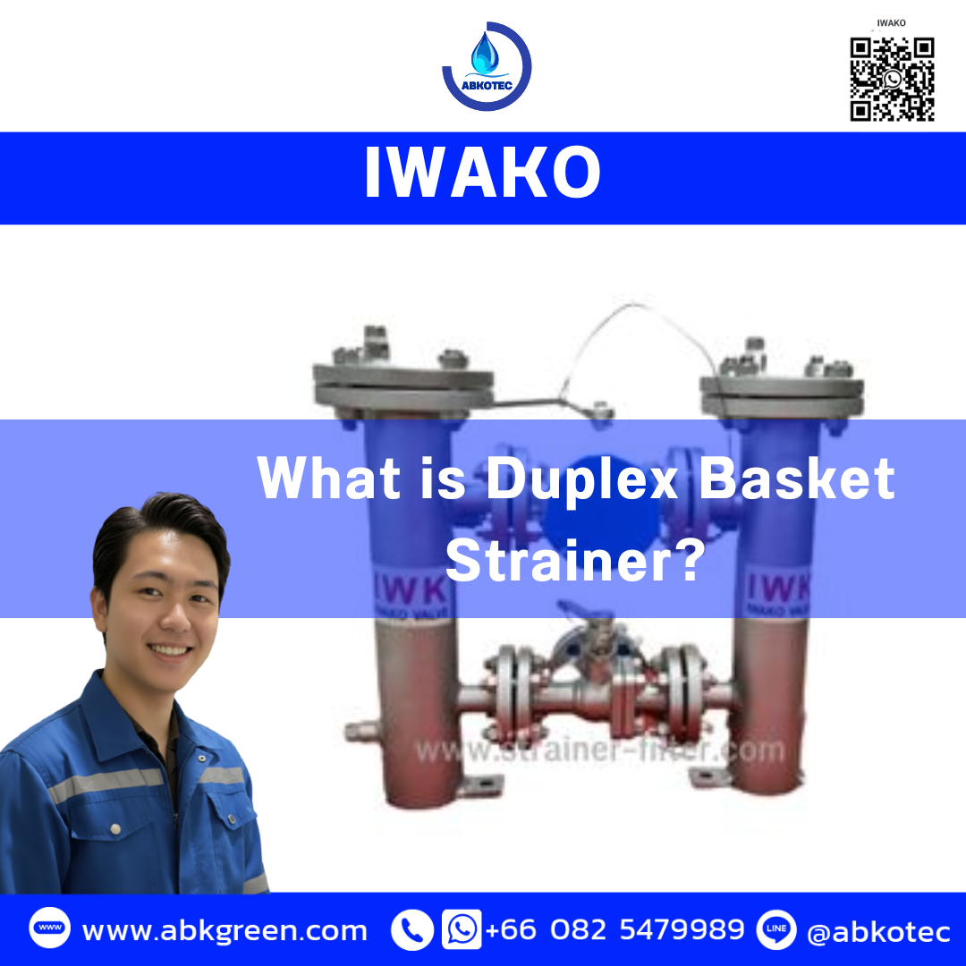 What is Duplex Basket Strainer