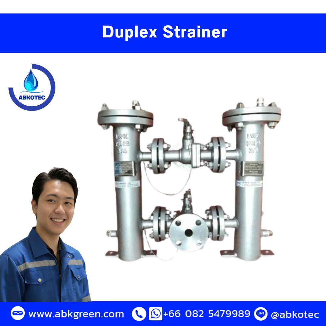 duplex strainer