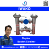 Duplex Basket Strainer