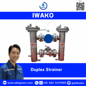 Duplex Strainer