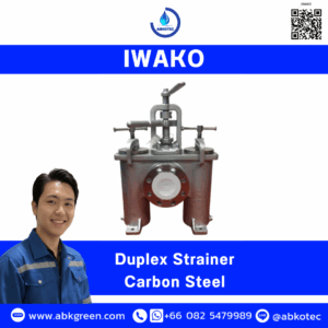 Duplex Strainer Carbon Steel
